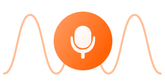 Voice Input